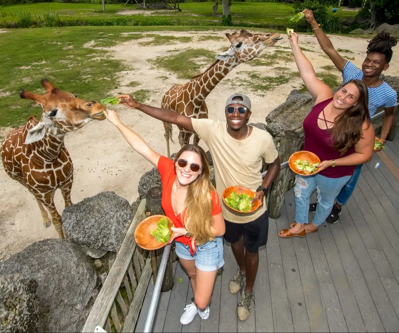 Unique Miami Experiences - Bucket Listers