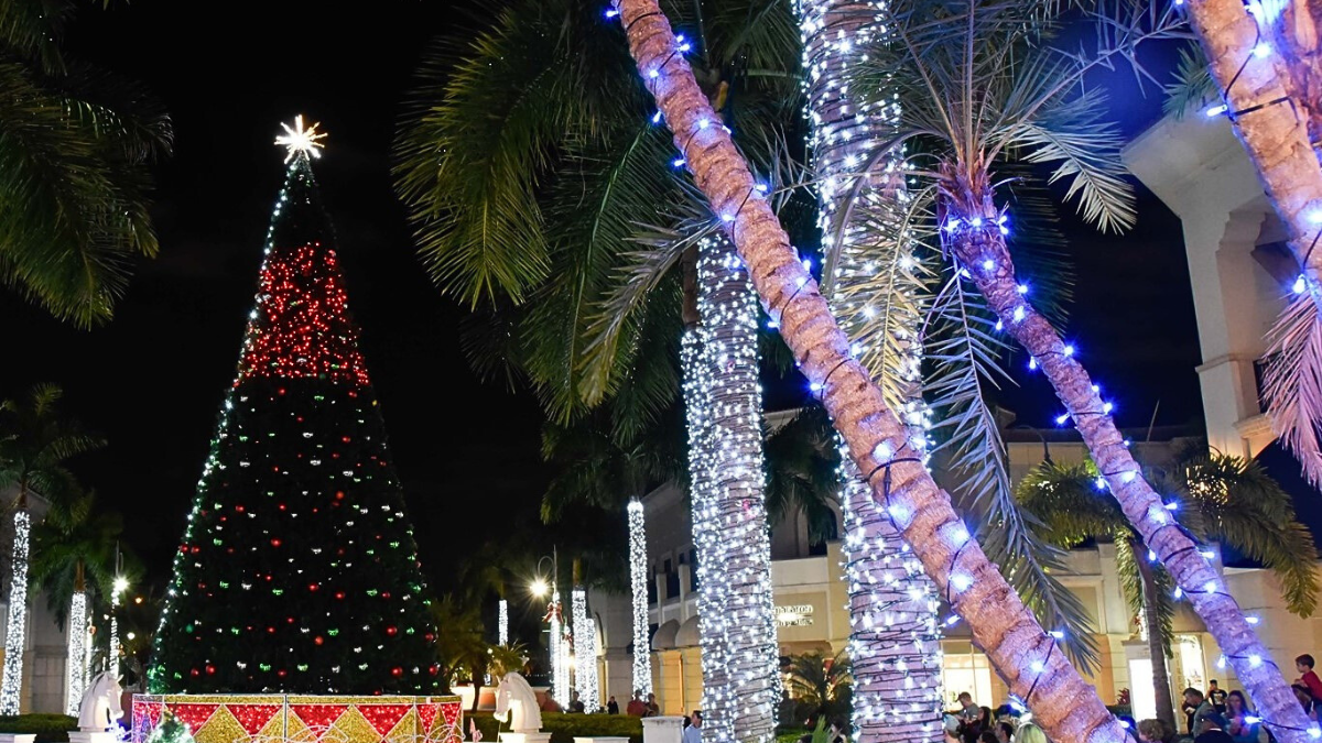 Best Winter Activities and Holiday Events in Miami Miami's Ultimate