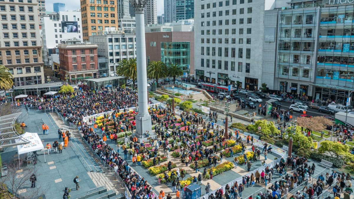 spring at union square in bloom