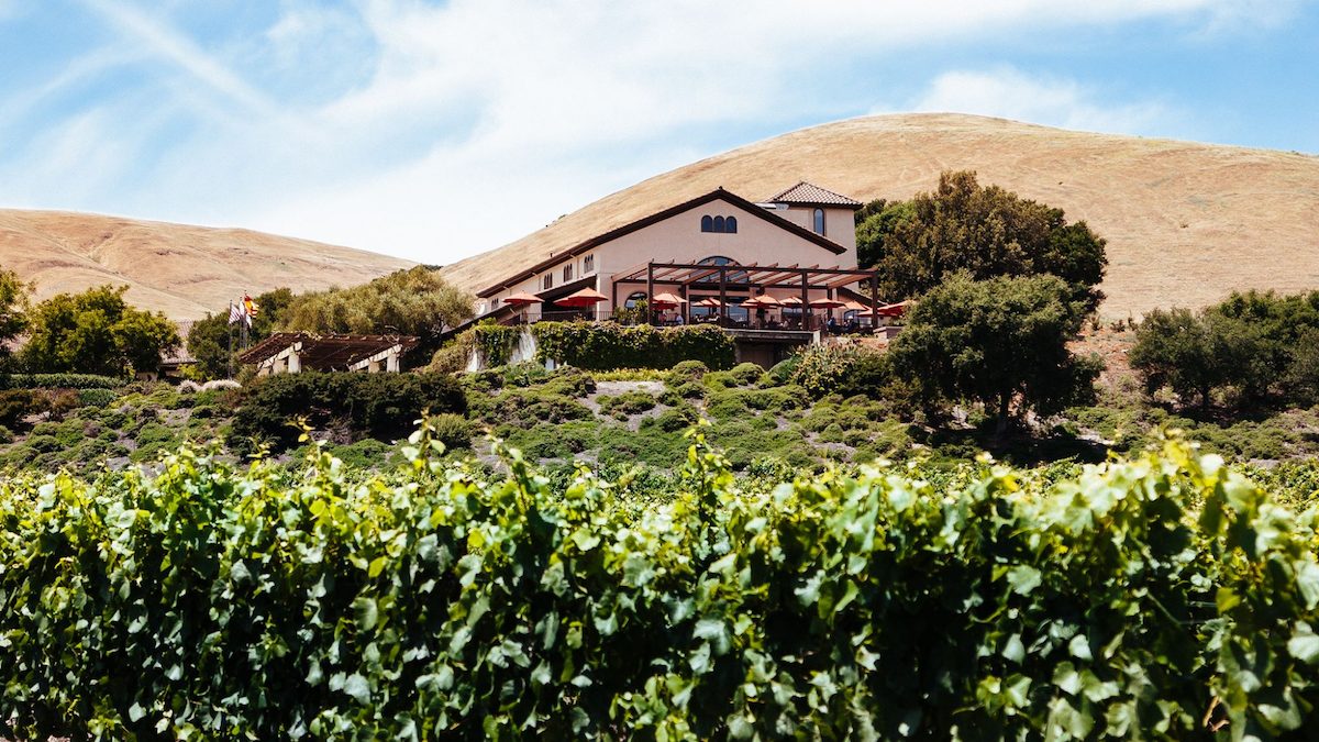 spring wine tours in napa