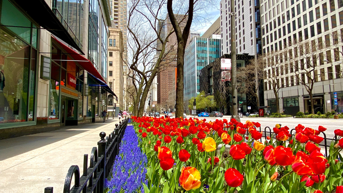 The Best Things To Do in Chicago This Spring